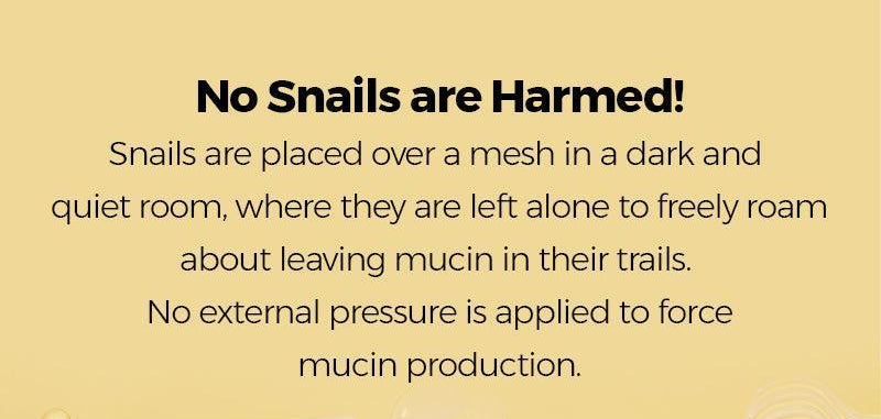 Advanced snail mucin skincare collection