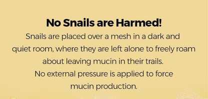 Advanced snail mucin skincare collection